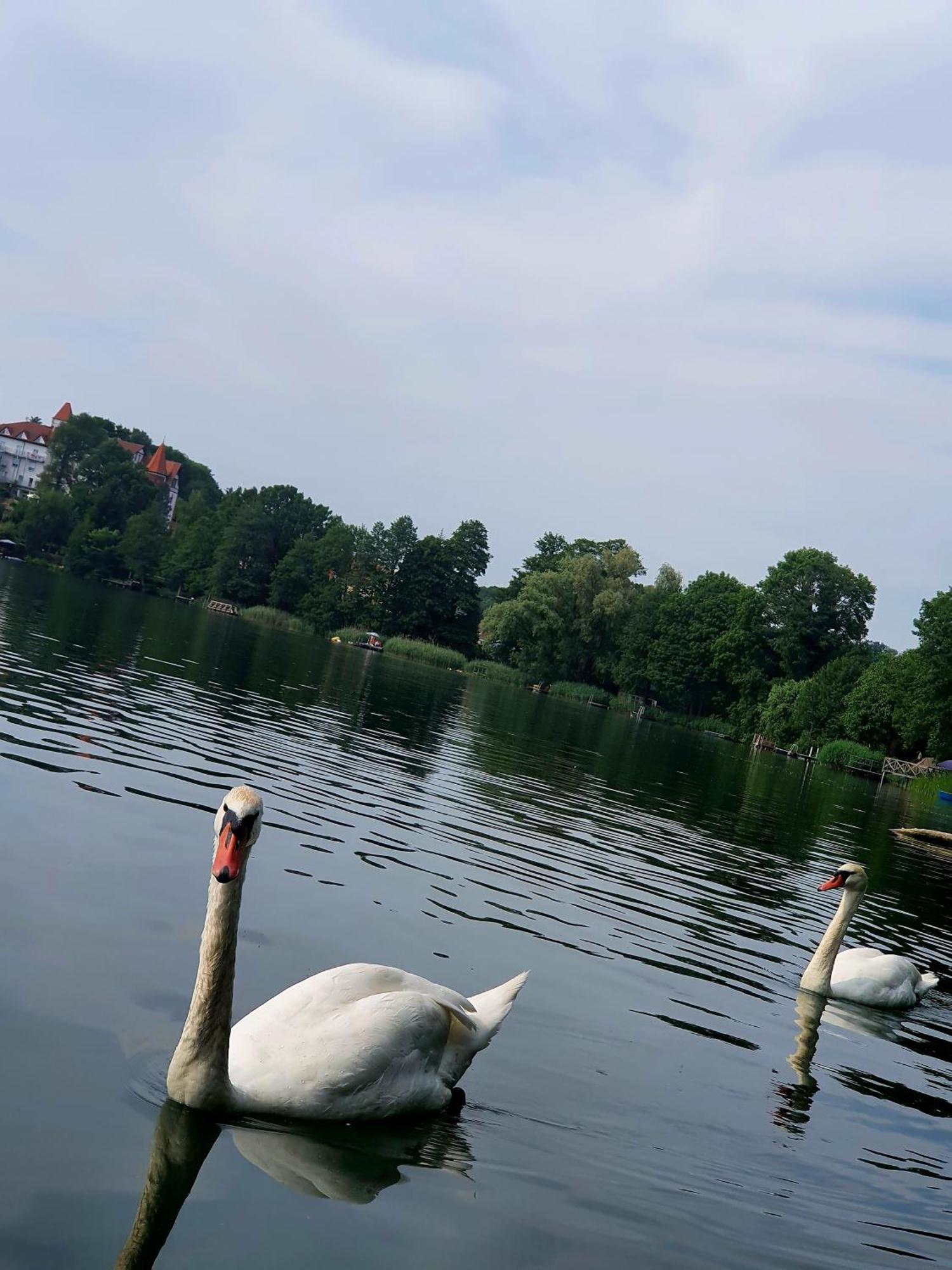 Apartment Buckow Buitenkant foto